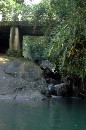 DSC_0268 Swimming Hole * 2000 x 3008 * (1.99MB)